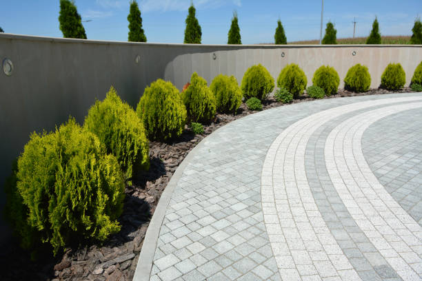 Best Residential Paver Driveway  in Beulah, ND
